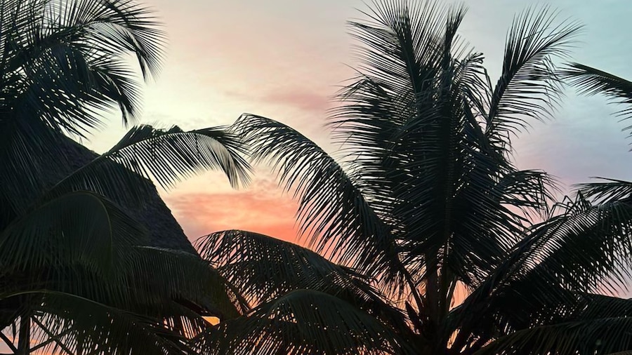 Asante Sana Beachfront Hotel