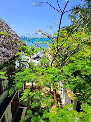 Free WiFi, bed sheets - Asante Sana Beachfront Hotel (Fukuchani)