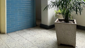 Esquina de una habitación con pared azul de azulejos, una planta en maceta y un extintor de incendios fijado a la pared.