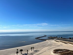 A beach with a clear sky, calm water, and a sandy area with palm trees.
