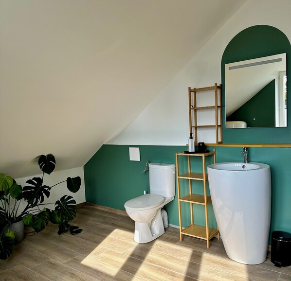 A bathroom with a white toilet, a wooden shelf, a large sink, and a mirror.