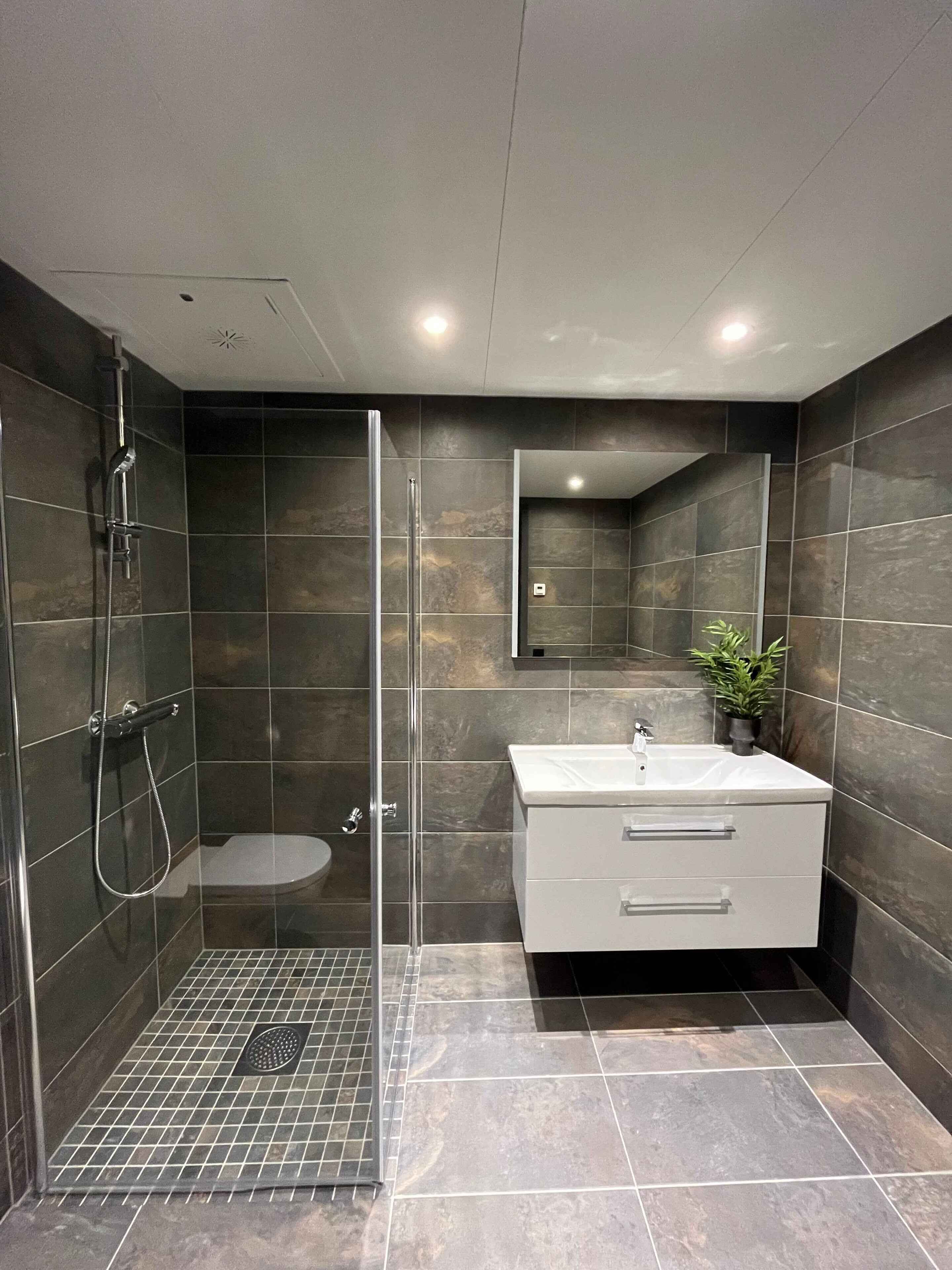 Une salle de bain moderne avec une douche à parois de verre, un meuble-lavabo blanc et une plante en pot.