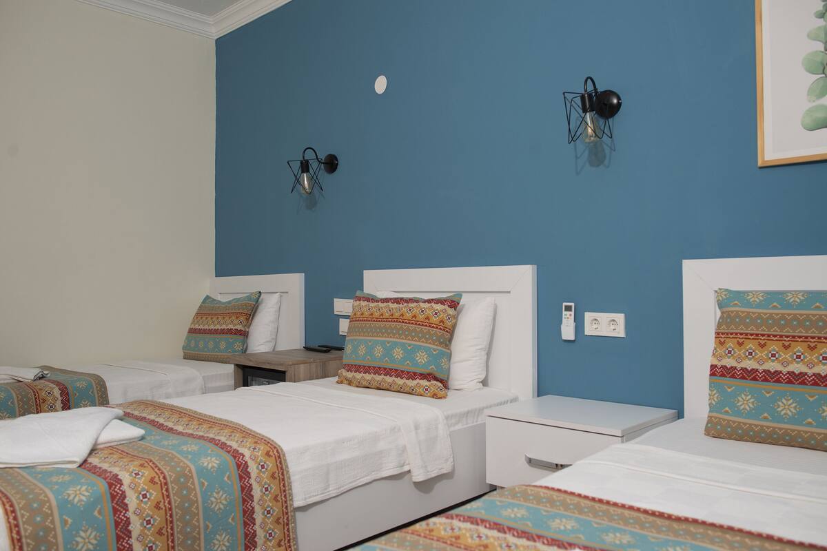 Economy Triple Room | Laptop workspace, WiFi (free)