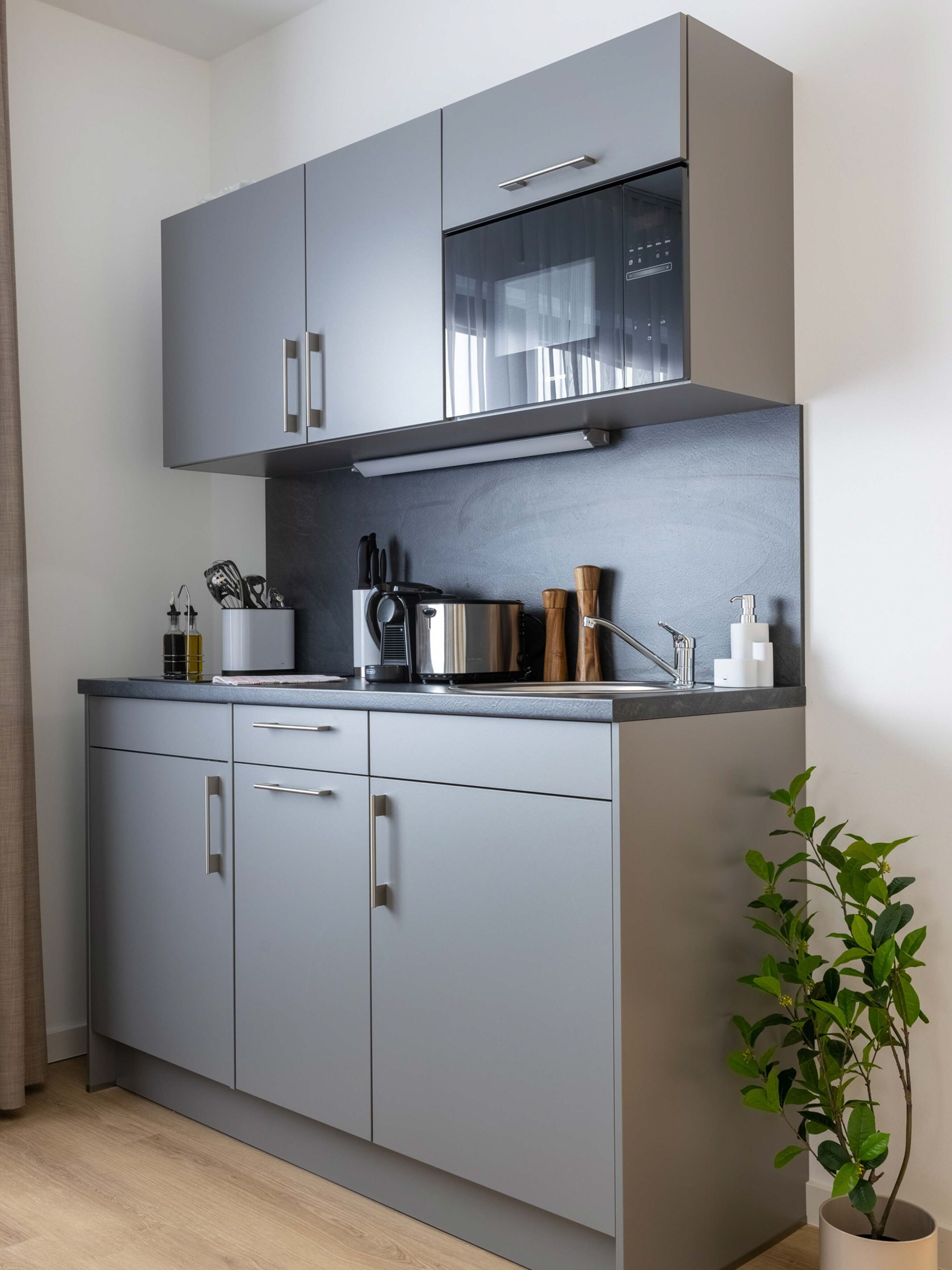 A modern kitchen with grey cabinets, stainless steel appliances, and a small potted plant.