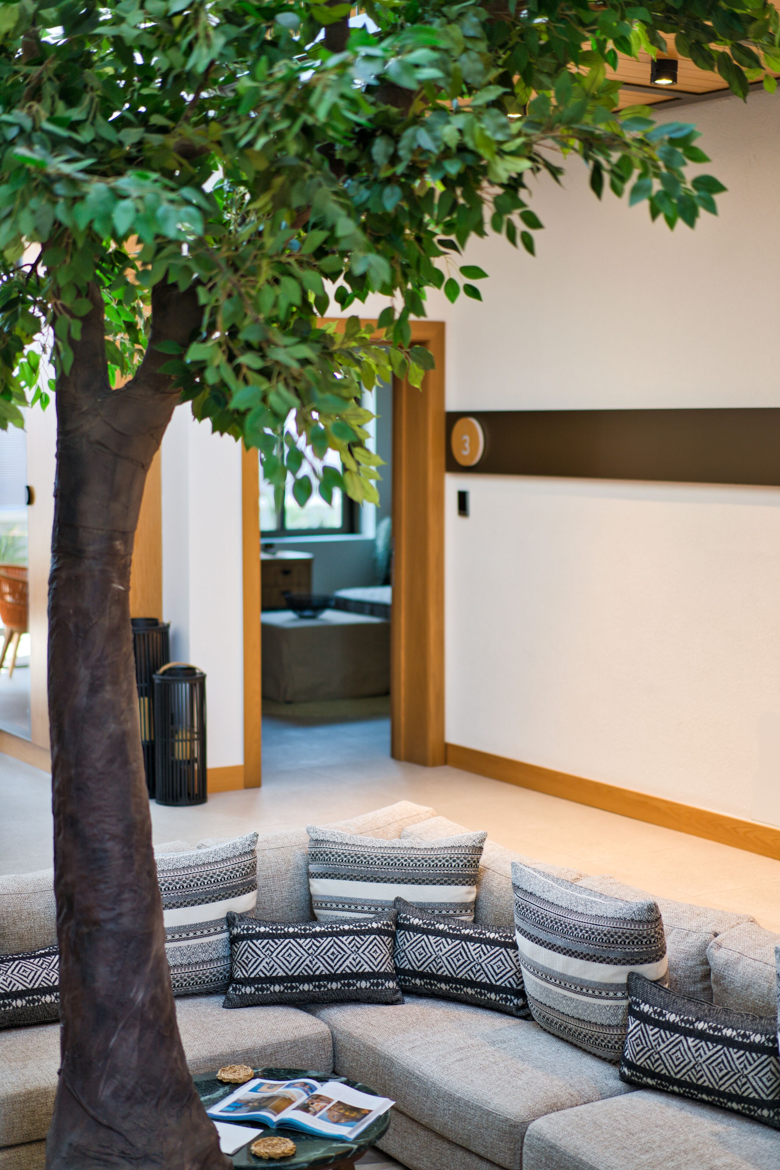A modern living room with a grey sofa, patterned cushions, a tree, and a magazine on the coffee table.