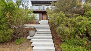 A modern house with a concrete staircase leading to a wooden door.