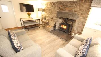 House | Living room | Fireplace