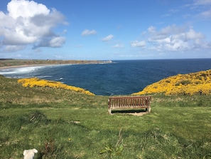 A grassy area with a wooden bench overlooking a coastal view. - Zen Cottage, Cullen - Sleeps 4, Garden & Pets Ok (Buckie)