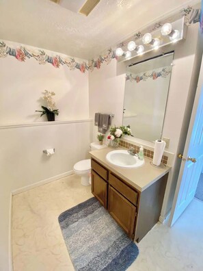 Shower, hair dryer