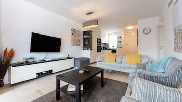 Télévision, cheminée, lecteur de DVD, chaßne hi-fi