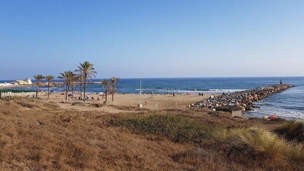 A beach with a rocky breakwater, palm trees, and a clear sky.
