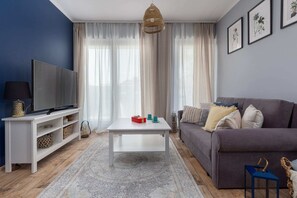 Fernseher, Arbeitsbereiche