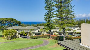 A residential area with houses, a large tree, and a view of the ocean.