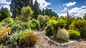 A garden with a variety of plants and trees, a gravel path, and a stone border.