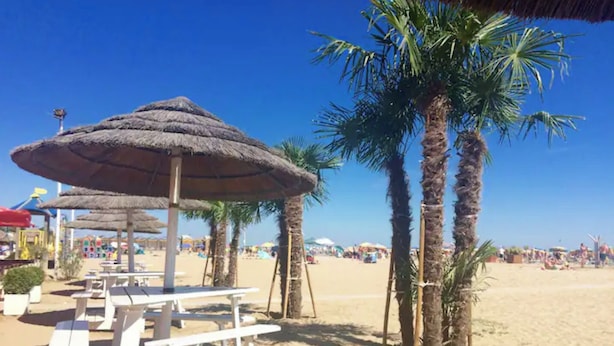 Une plage avec des parasols en chaume, des palmiers et des chaises longues.