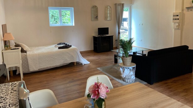 Una habitación con cama, televisor, planta y sofá.