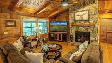 TV, fireplace, stereo, offices