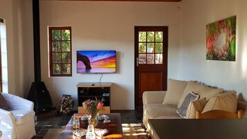 TV connectée, cheminée