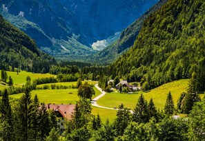 Un paisaje rural con un camino sinuoso, casas y densas colinas boscosas.