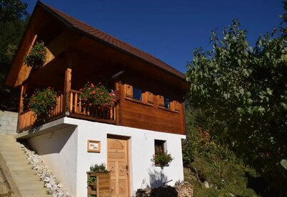 Shepperd Miha's House Private Ski Area