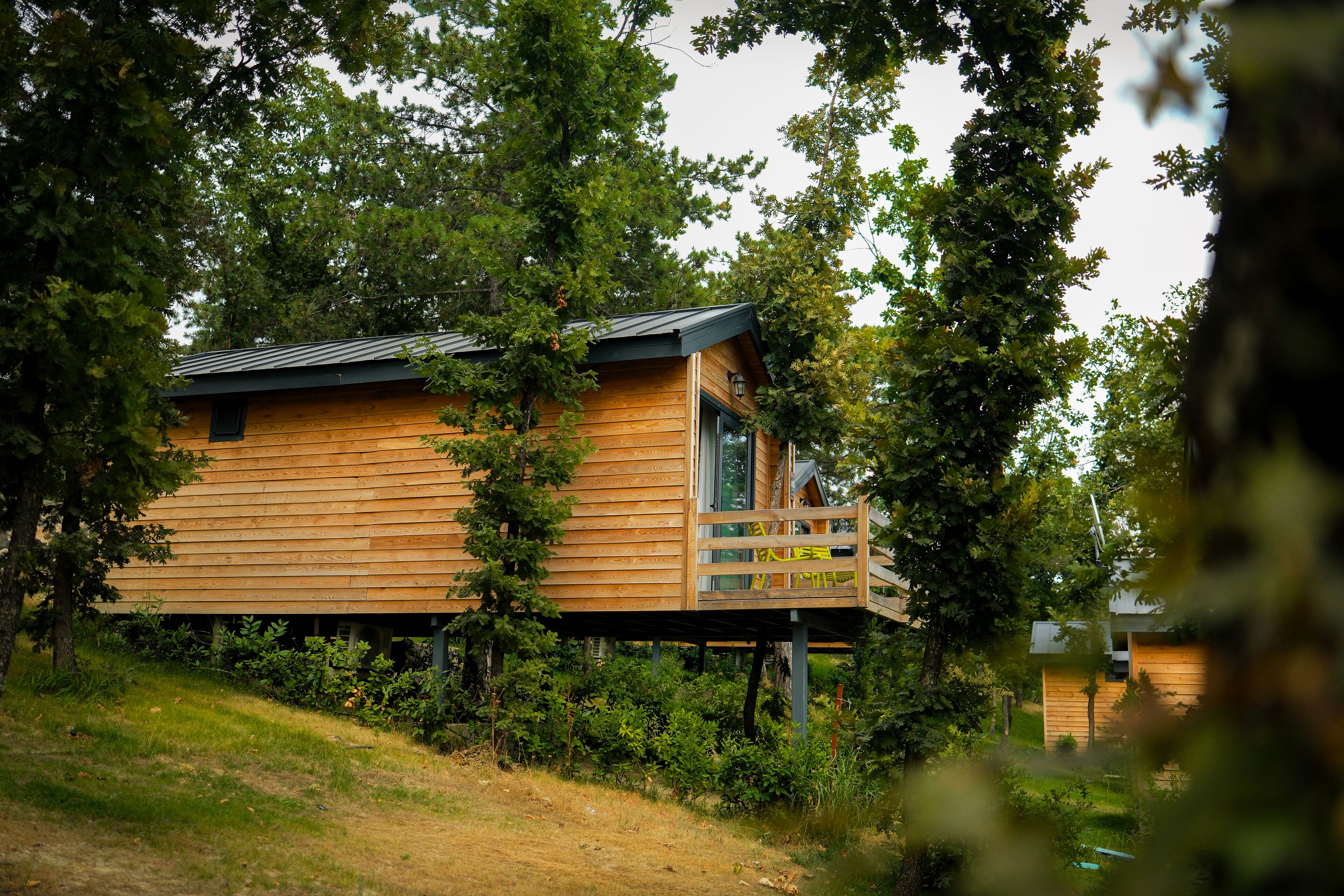 A wooden cabin elevated on stilts, surrounded by dense greenery.