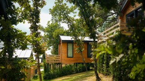 Eine Holzhütte mit einer Terrasse, umgeben von Bäumen und Grünpflanzen.