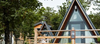  Nefes Dağyenice Doğada