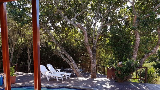 A swimming pool with a tiled edge, surrounded by a wooden deck and white lounge chairs. - - Country getaway in Peaceful setting yet minutes from Town (Gqeberha)