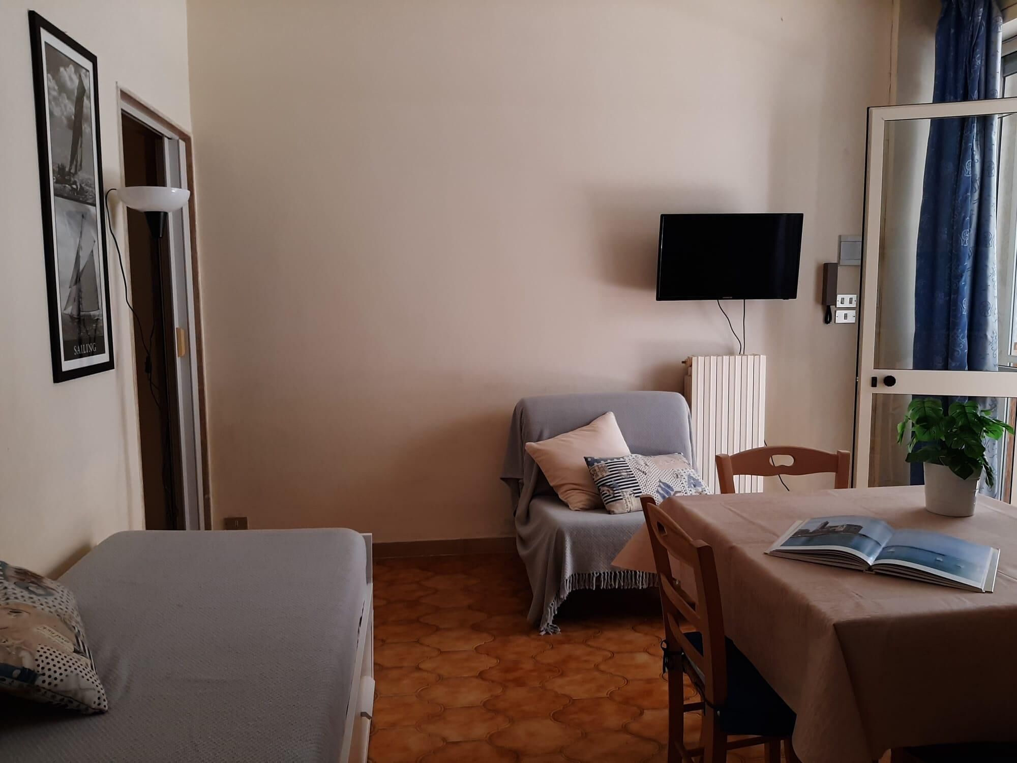 Habitació amb un llit, un sofà, una taula amb una planta i una televisió penjada a la paret.