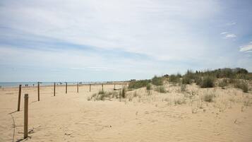 Apartamento | 1 quarto