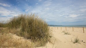 A sandy beach with tall grass and a wooden fence. - Residenza Excelsior 705 (Vasto)
