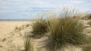 Une plage de sable avec de hautes herbes et un ciel dégagé.