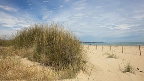 A sandy beach with tall grasses and a wooden fence. - Residenza Excelsior 606 (Vasto)