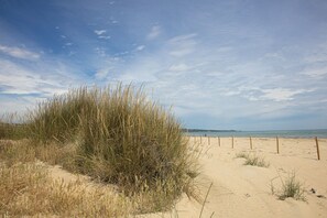 Ein Sandstrand mit hohem Gras und einem Holzzaun.