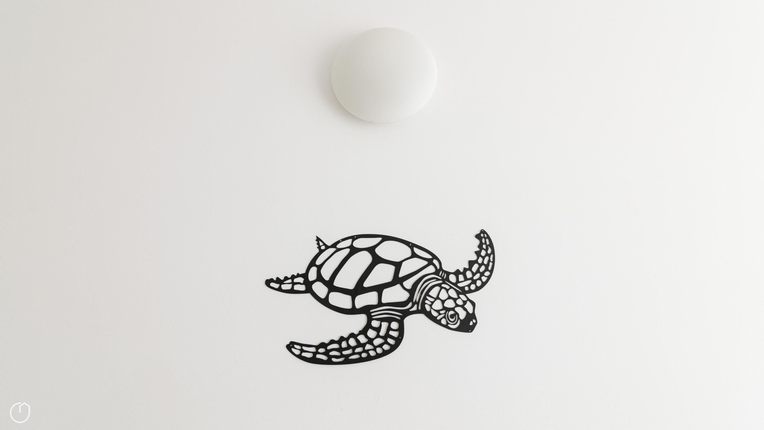 Ilustración de una tortuga blanca sobre fondo blanco.