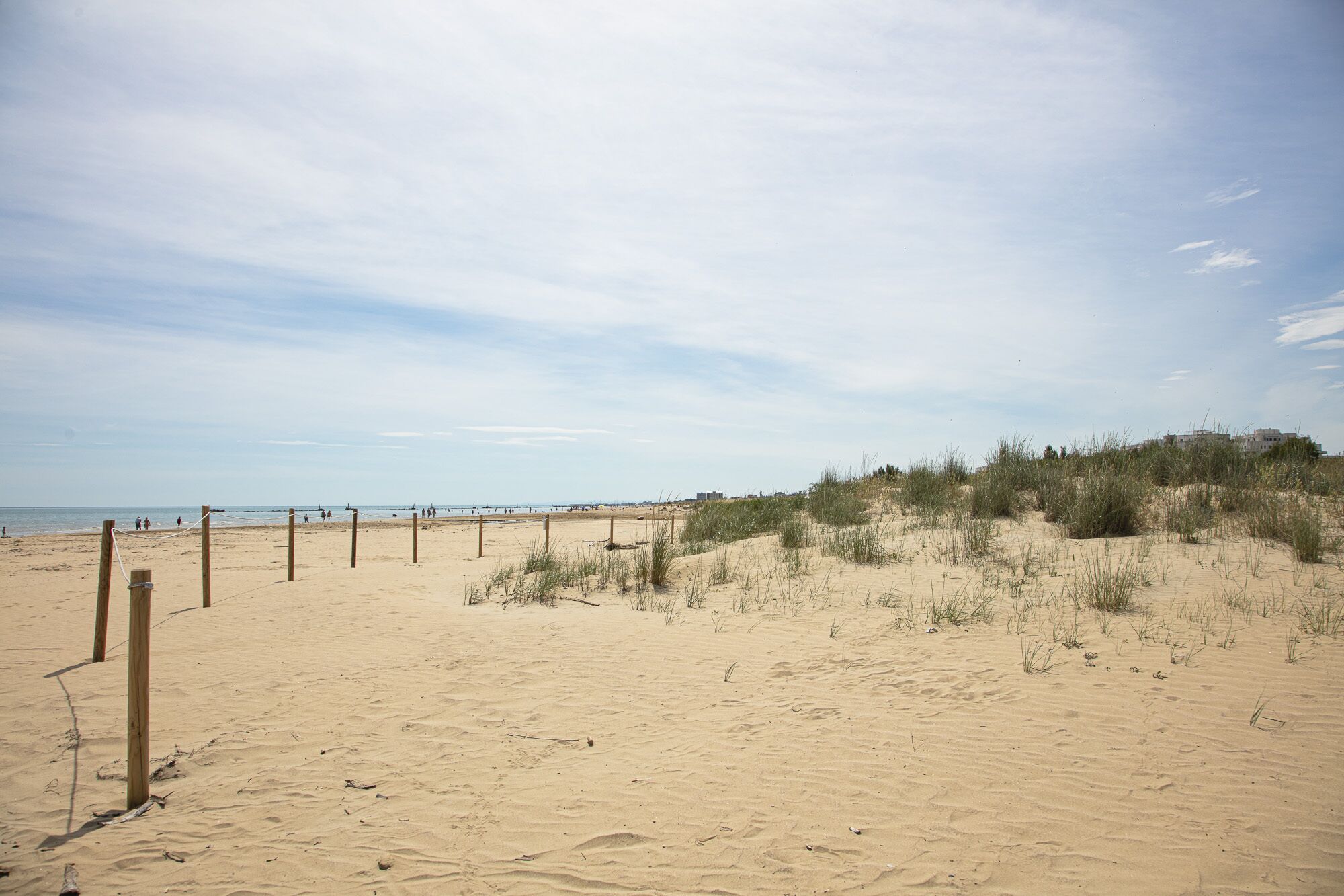 Ein Sandstrand mit Holzpfählen und spärlicher Vegetation.