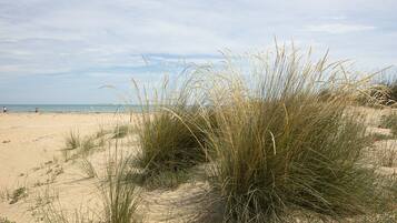 Lejlighed | 1 soveværelse