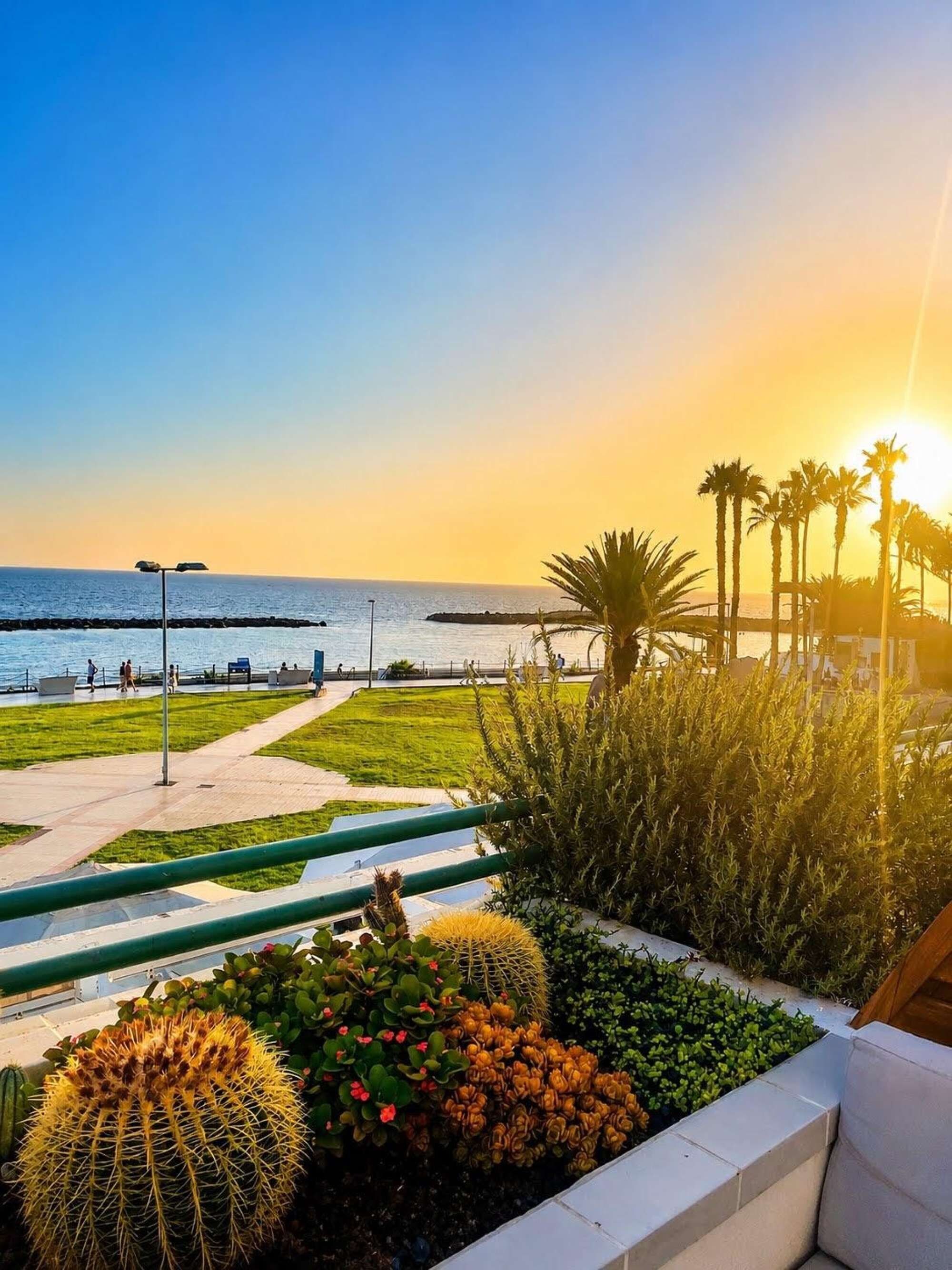 A coastal promenade with a view of the sea, palm trees, and cacti.