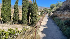 A dirt path flanked by tall cypress trees and a metal fence, leading through a hilly landscape. - Casa rural con vistas maravillosas en Arico (Santa Cruz de Tenerife)