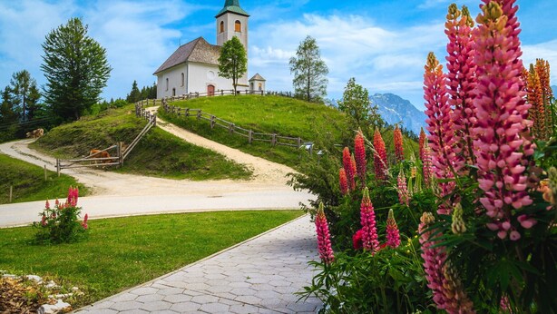 Uma igreja no topo de uma colina, com um caminho pavimentado que leva até ela, cercada por vegetação e flores.