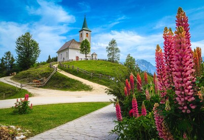 Alpine Apt Melanija Private Ski Area