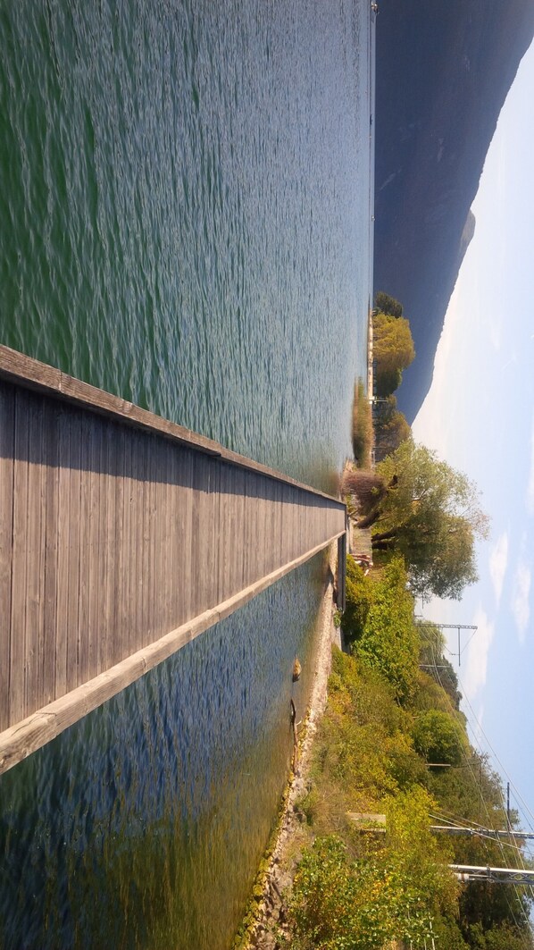 Un muelle de madera bordea una masa de agua tranquila, rodeado de follaje y árboles.