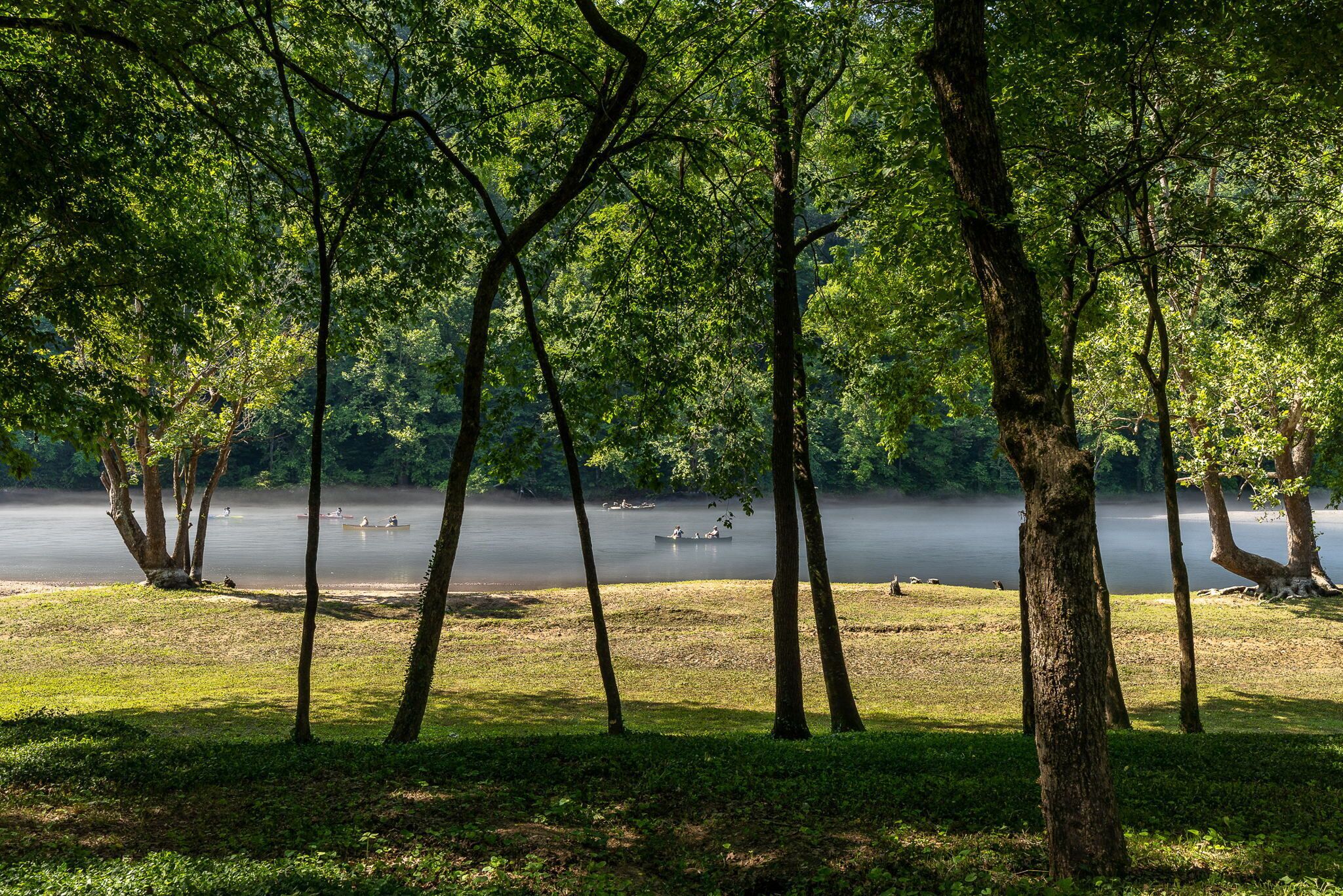 Eine friedliche Seenlandschaft mit Bäumen und ruhigem Wasser.
