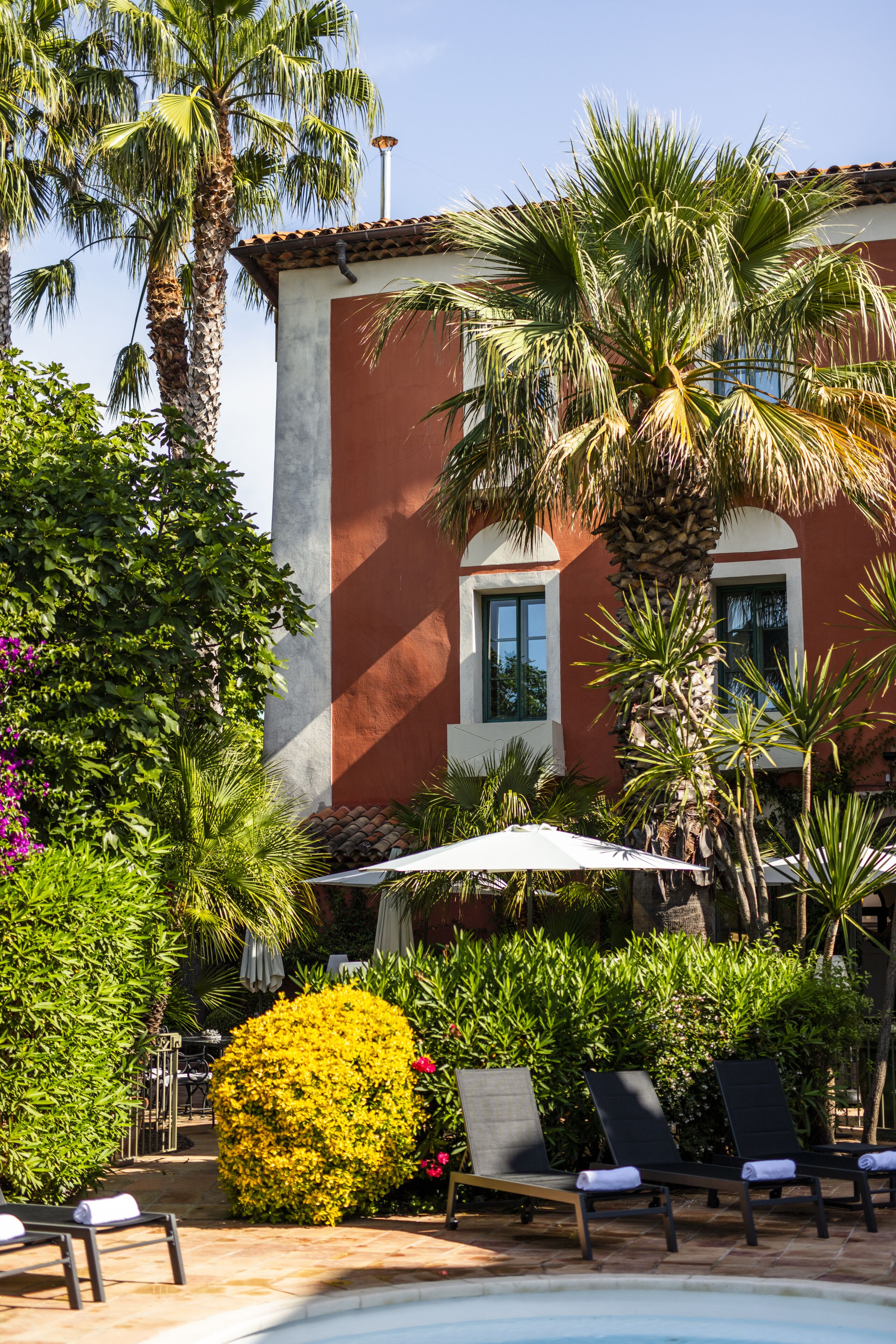 Zona junto a la piscina con sillones de descanso, una palmera y un edificio de fachada roja.