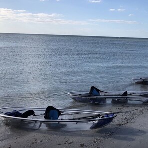 Playa en los alrededores, camastros y toallas de playa 
