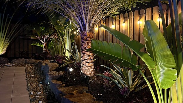 A nighttime garden with a palm tree, illuminated plants, a wooden fence, and a stone pathway.