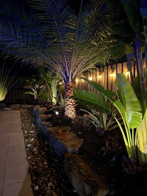 Een tuin 's nachts met een palmboom, verlichte planten, een houten hek en een pad van stenen.