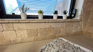 A room with a brick wall, a window with blinds, and a small shelf with potted plants.