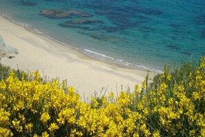 Vlak bij het strand