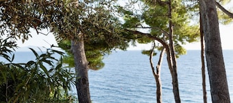 Luma Hvar ✶ Premium Beachfront House ✶